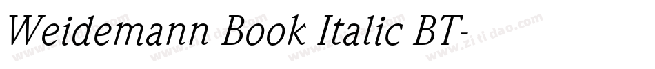 Weidemann Book Italic BT字体转换